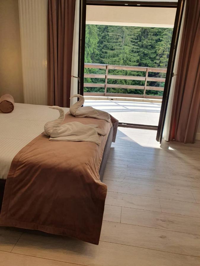Apartament Ozon פויאנה ברשוב מראה חיצוני תמונה