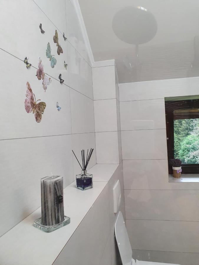 Apartament Ozon פויאנה ברשוב מראה חיצוני תמונה