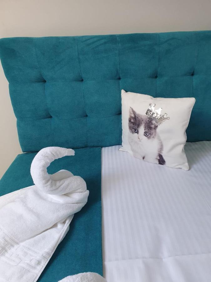 Apartament Ozon פויאנה ברשוב מראה חיצוני תמונה