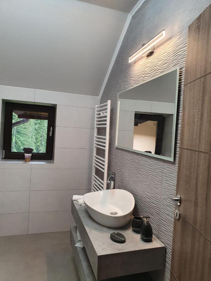 Apartament Ozon פויאנה ברשוב מראה חיצוני תמונה