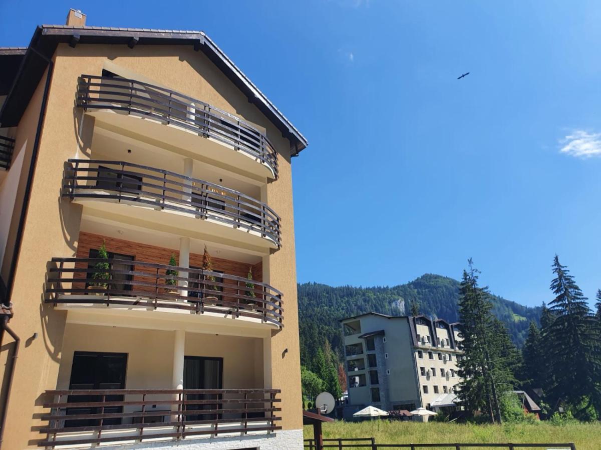 Apartament Ozon פויאנה ברשוב מראה חיצוני תמונה